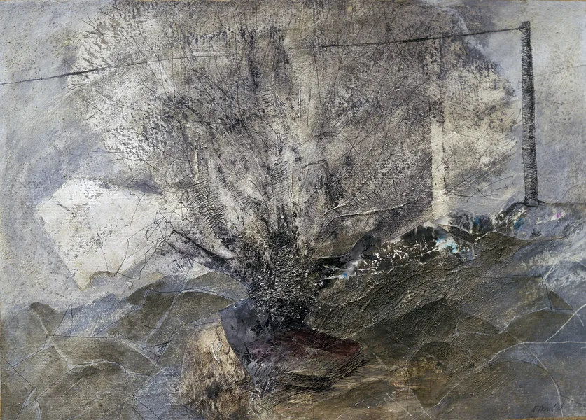 Strom na staveništi _ Tree at Construction Site
